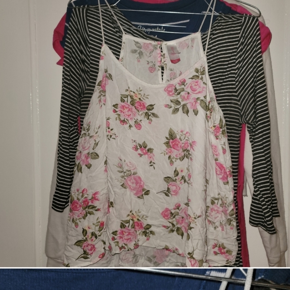 Bundle for Pinkpoddle